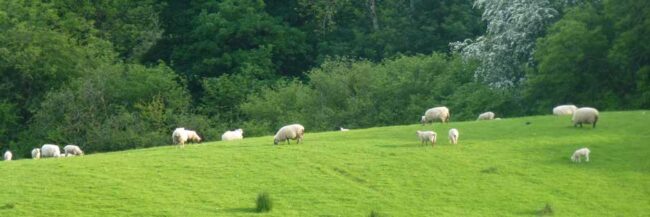 slider-bed-breakfast-accommodation-fermanagh-02