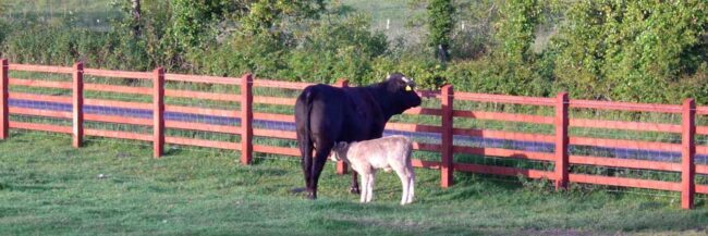 slider-farm-house-holidays-northern-ireland